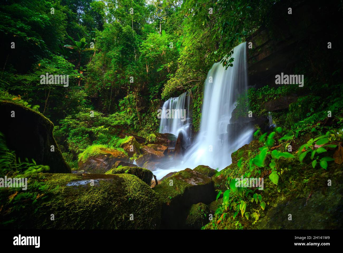 splendida cascata tropicale nella foresta profonda Foto Stock