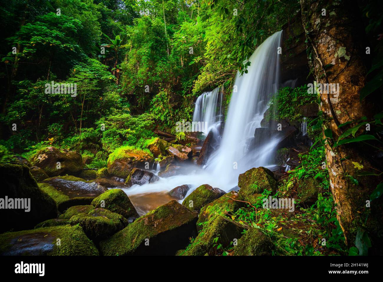 splendida cascata tropicale nella foresta profonda Foto Stock