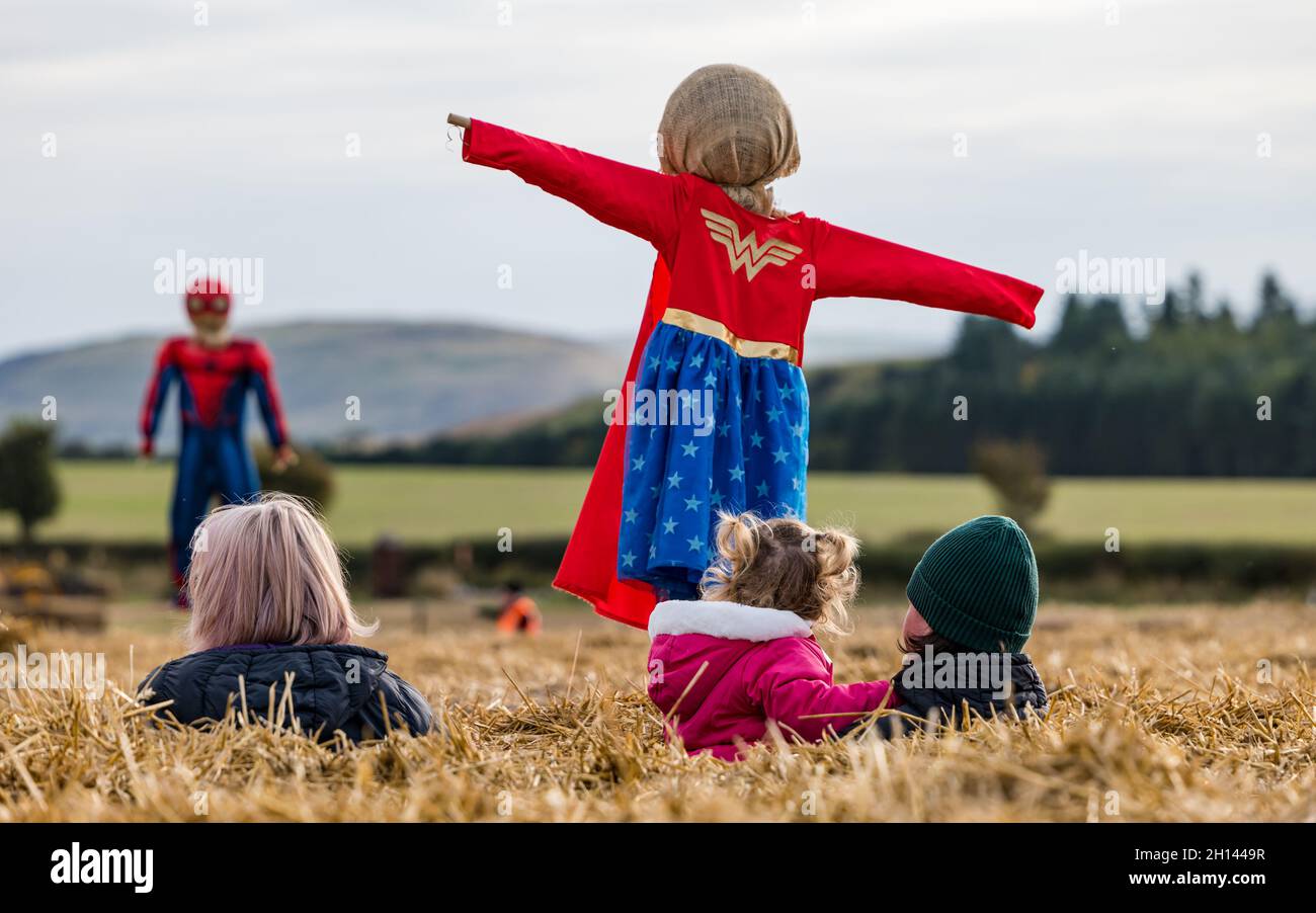 Lothian orientale, Scozia, Regno Unito, 16 ottobre 2021. Zucca patch apre alla Kilduff Farm: Il festival annuale della zucca inizia oggi presso la fattoria con slot prenotabili per i visitatori di scegliere le zucche Halloween o varietà culinarie. Circa 60,000 zucche sono state raccolte da 20,000 piantine piantate all'inizio di giugno. Nella foto: Il labirinto di balle di fieno. Credit: Sally Anderson/Alamy Live News Foto Stock