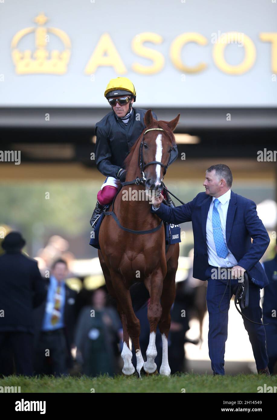 Jockey Frankie Dettori con Stradivarius davanti alla Qipco British Champions Long Distance Cup durante la Qipco British Champions Day all'ippodromo di Ascot. Data foto: Sabato 16 ottobre 2021. Foto Stock