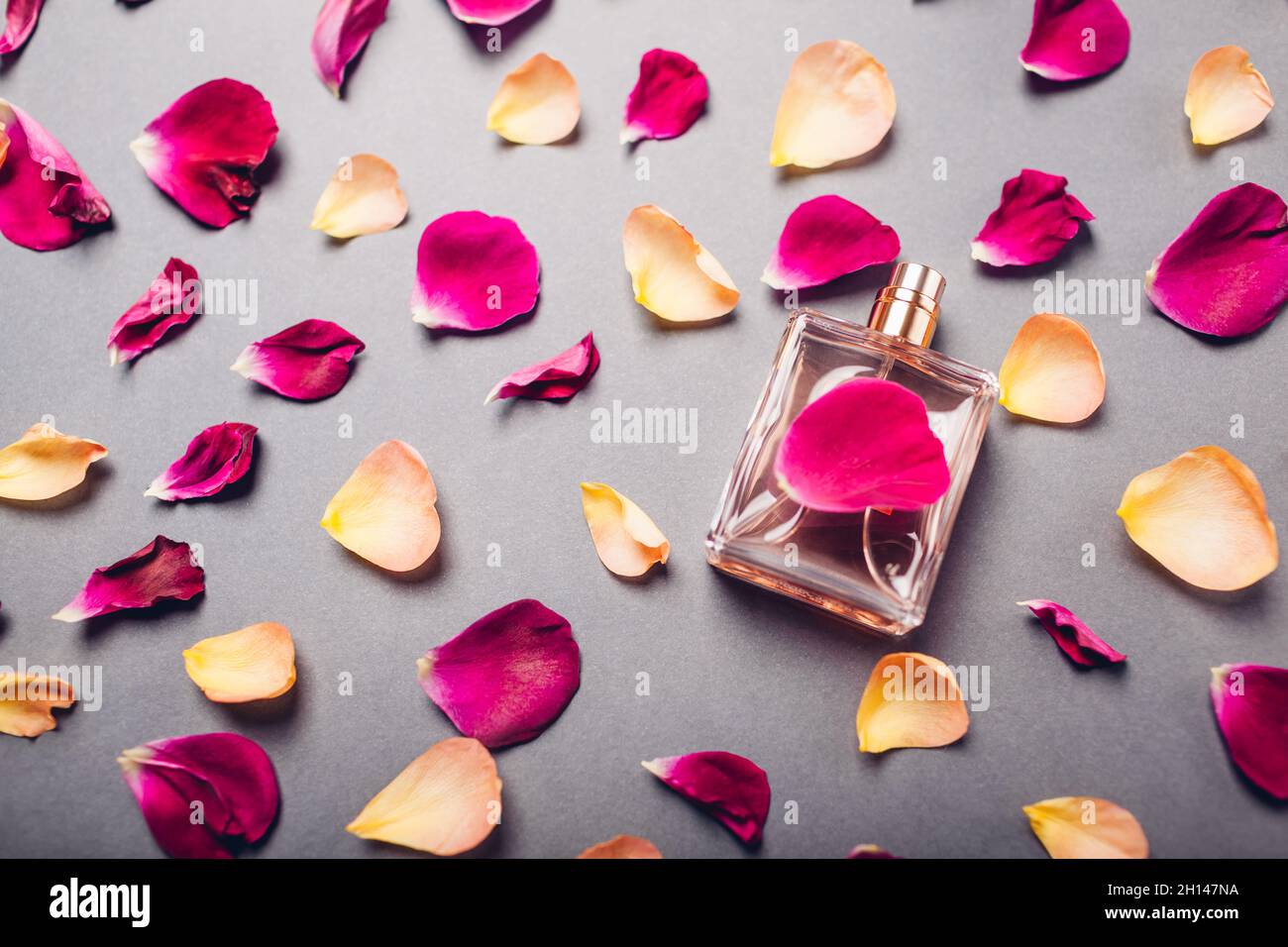 Bottiglia di profumo circondata da petali di rosa e arancio. Fiore fragranza n sfondo grigio. Foto studio. Vista dall'alto Foto Stock