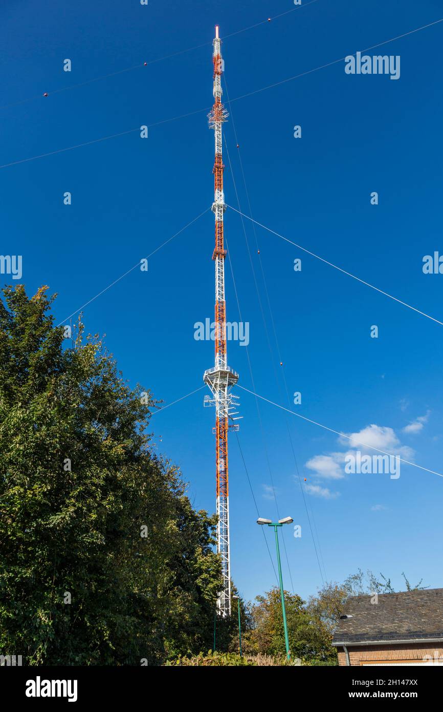 Germania, Velbert, Velbert-Langenberg, Bergisches Land, Niederbergisches Land, Niederberg, Renania settentrionale-Vestfalia, NRW, Sender Langenberg, Torre di trasmissione Langenberg del WDR Westdeutscher Rundfunk utilizzato per la radiodiffusione e la TV, albero radio Foto Stock
