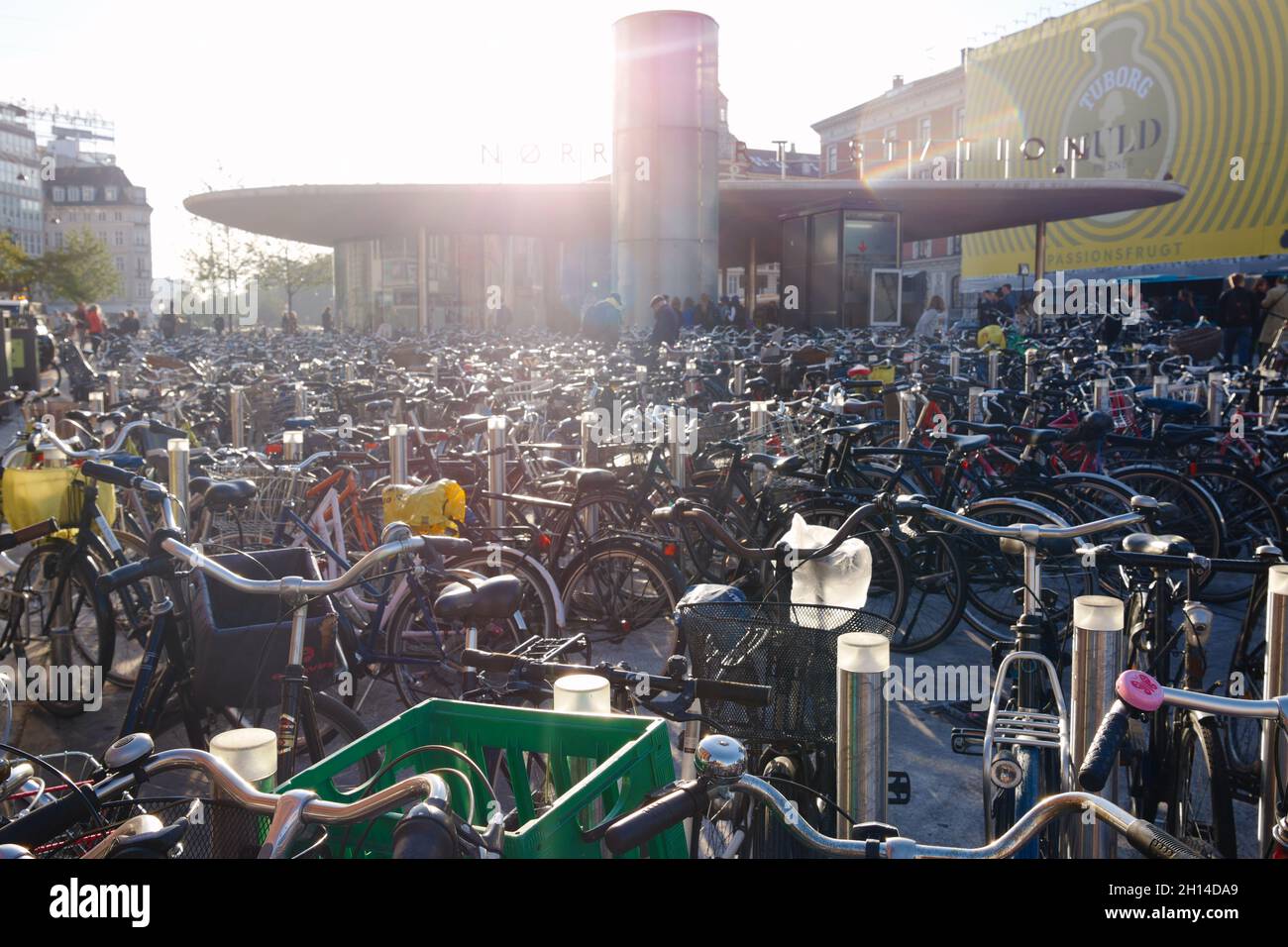 Biciclette parcheggiate di fronte alla stazione di Nørreport, Indre by, Copenhagen, Danimarca, Scandinavia, Ottobre 2021 Foto Stock