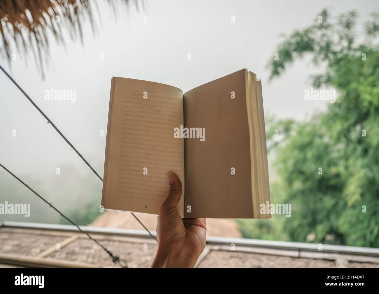 Mano di donna che tiene vuota pagina di libro tra la natura Foto Stock