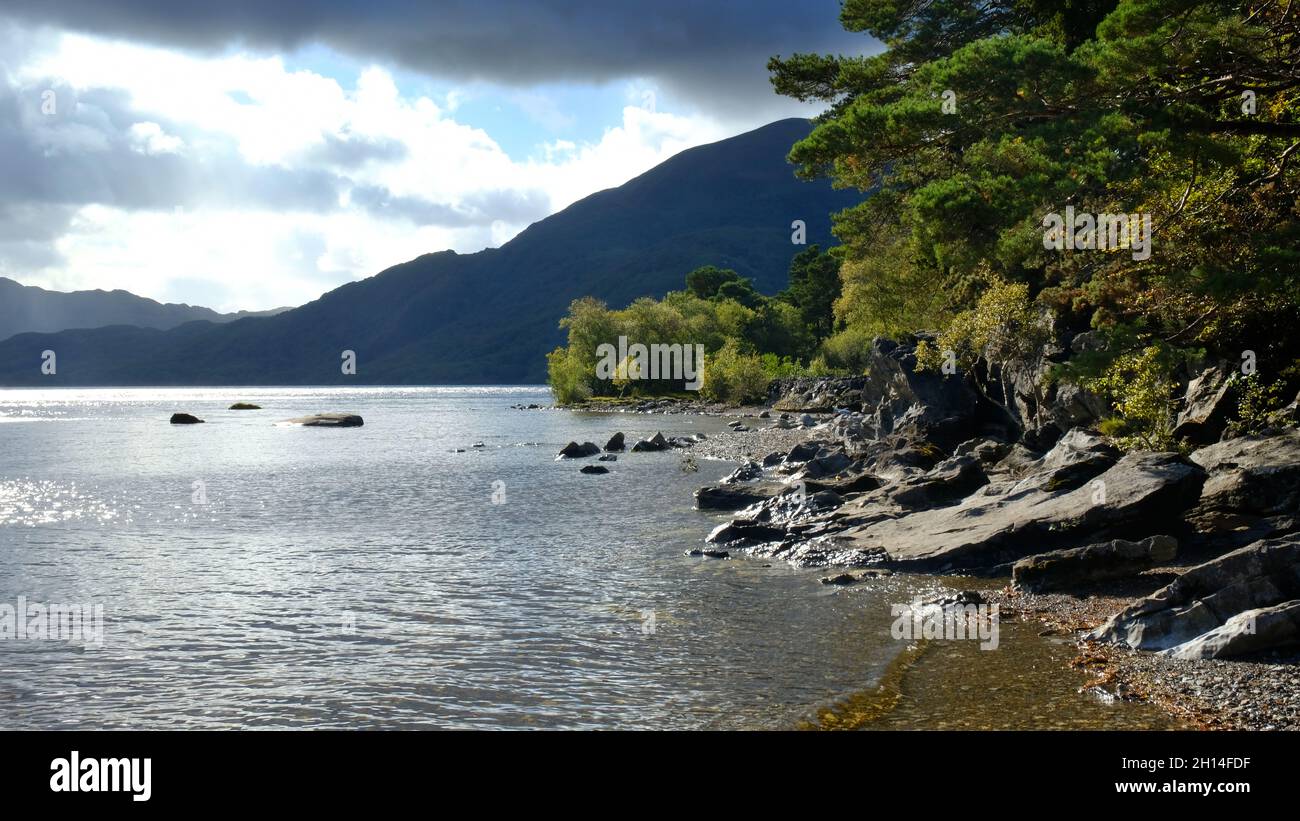 La riva di Lough Leane, Killarney, Contea di Kerry, Irlanda - John Gollop Foto Stock