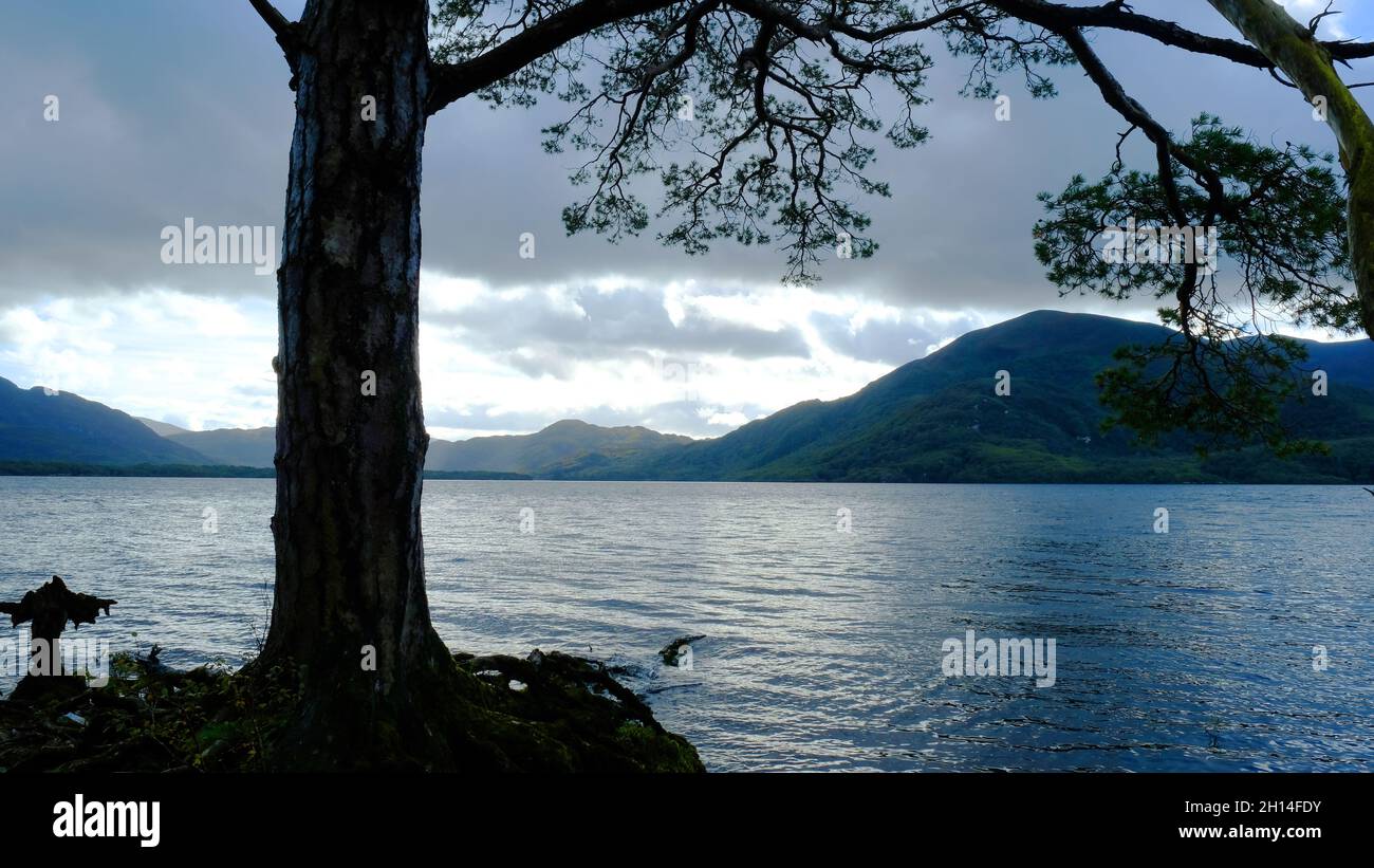 La riva di Lough Leane, Killarney, Contea di Kerry, Irlanda - John Gollop Foto Stock