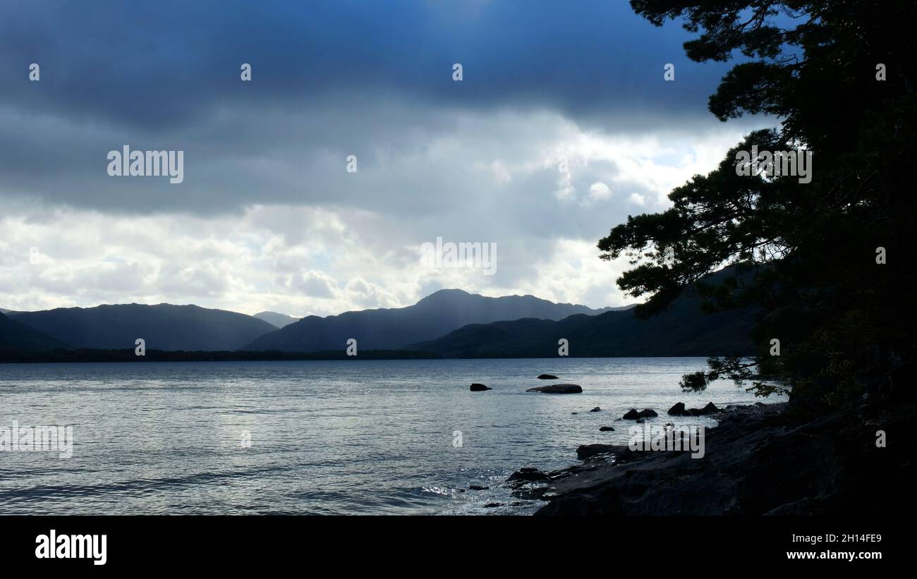La riva di Lough Leane, Killarney, Contea di Kerry, Irlanda - John Gollop Foto Stock