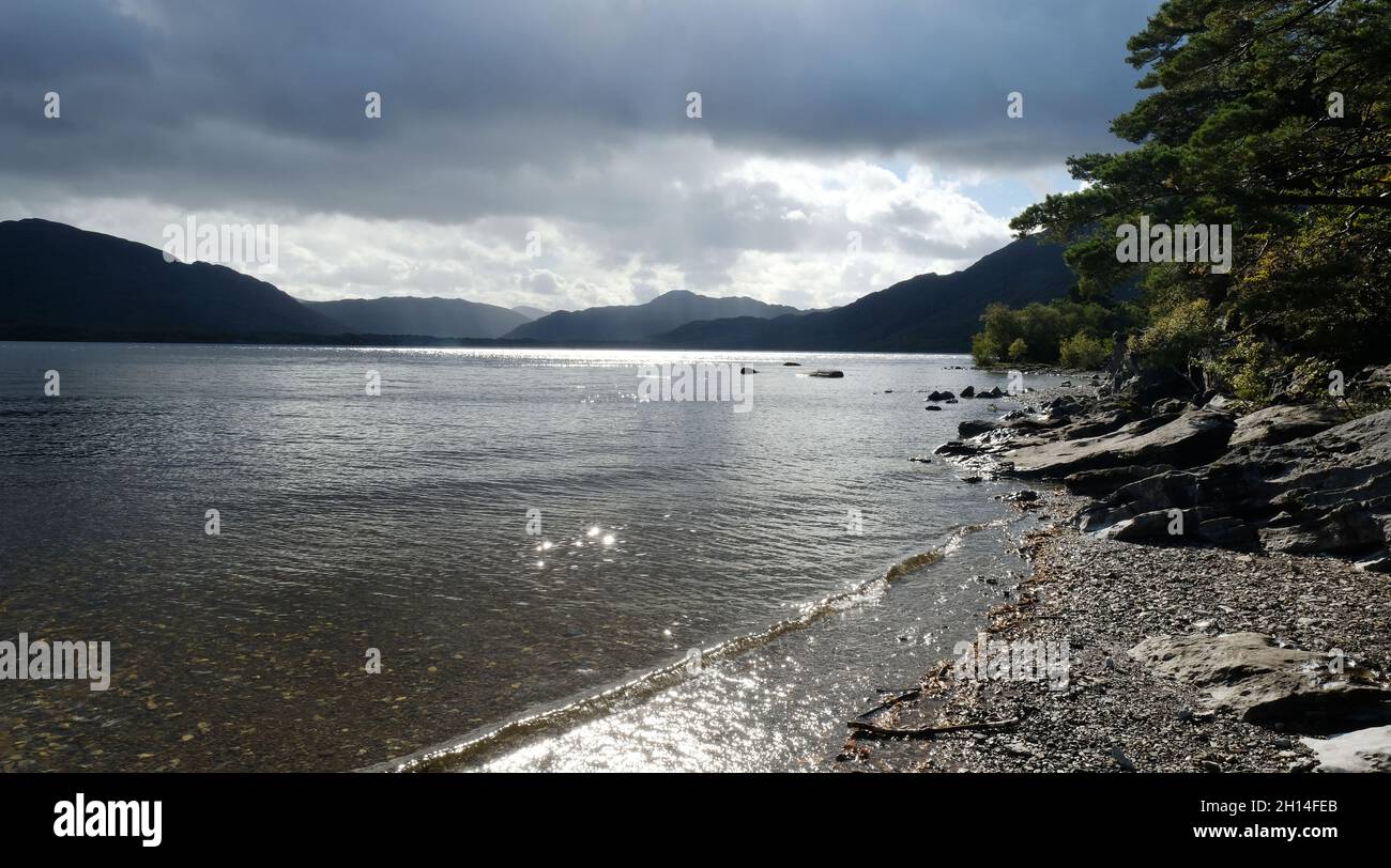 La riva di Lough Leane, Killarney, Contea di Kerry, Irlanda - John Gollop Foto Stock