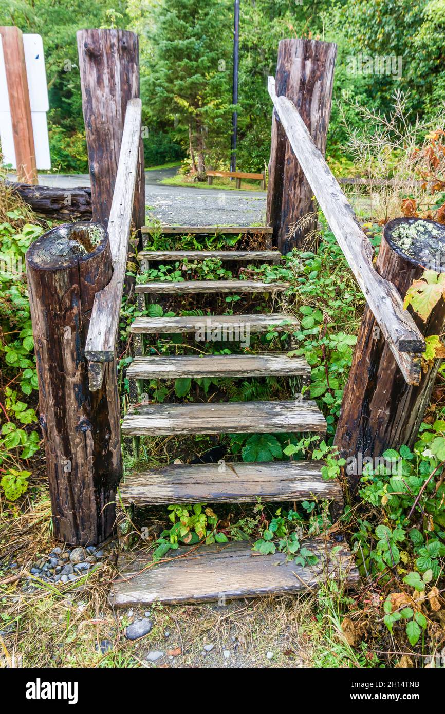 Staires di legno a Pillar Point nello stato di Washington. Foto Stock