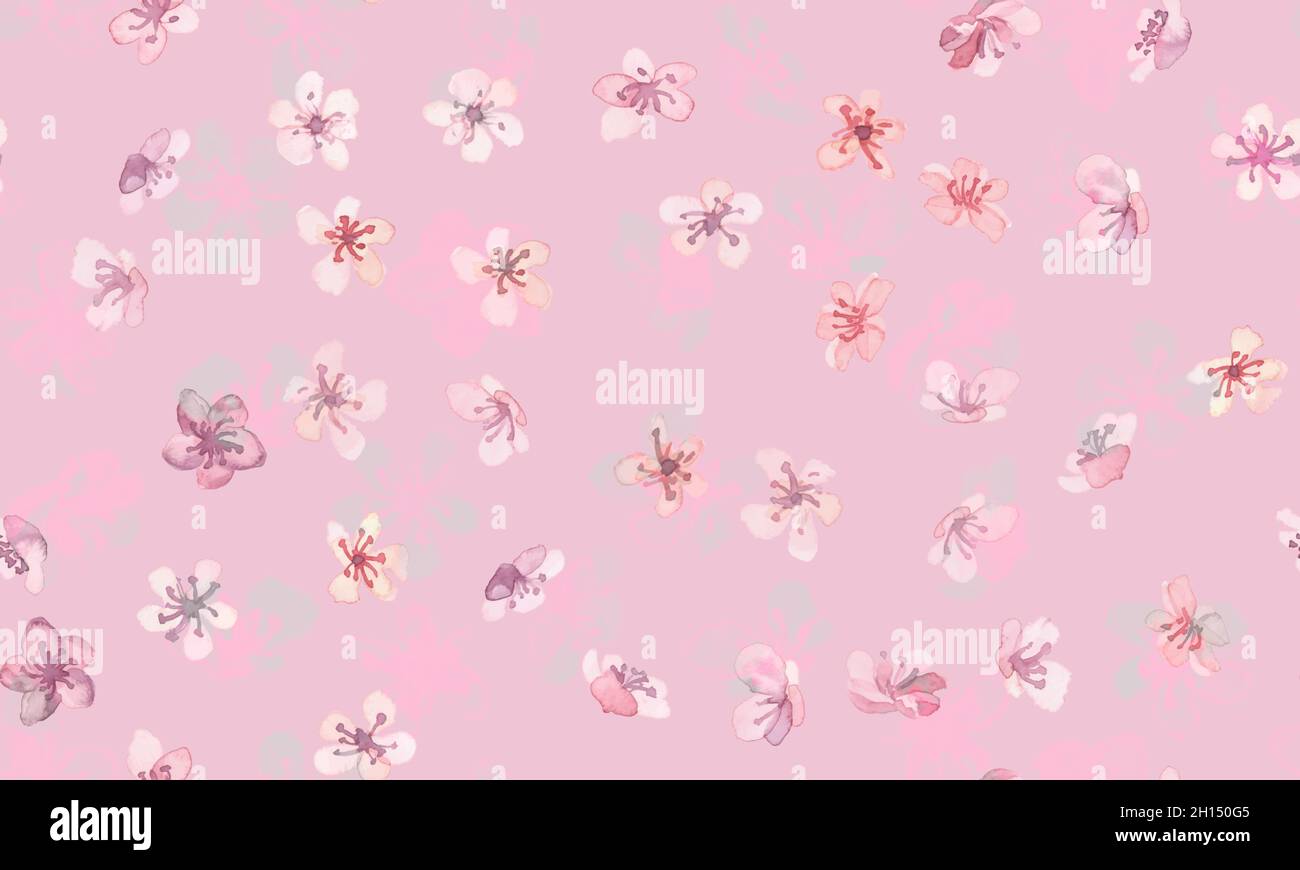 Sakura Vector. Acquerello Apple Branch. Senza giunture Illustrazione Vettoriale