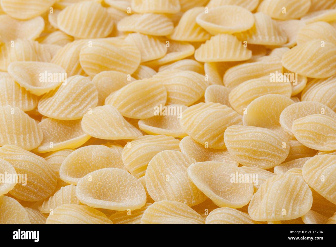 Sfondo di pasta orecchiette non cotte Foto Stock