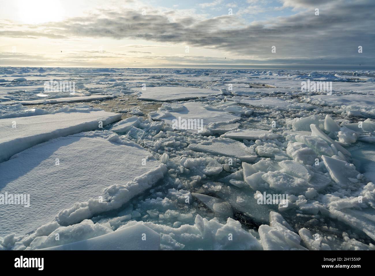 Pezzi spezzati di ghiaccio artico a nord di Svalbard il sole della sera, Svalbard, Norvegia Foto Stock