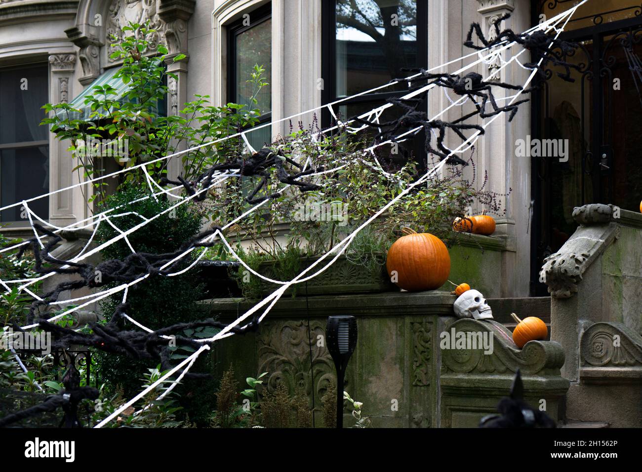 Stoop di edificio in pietra marrone decorato con ragnatela ragno e zucche per Halloween Foto Stock