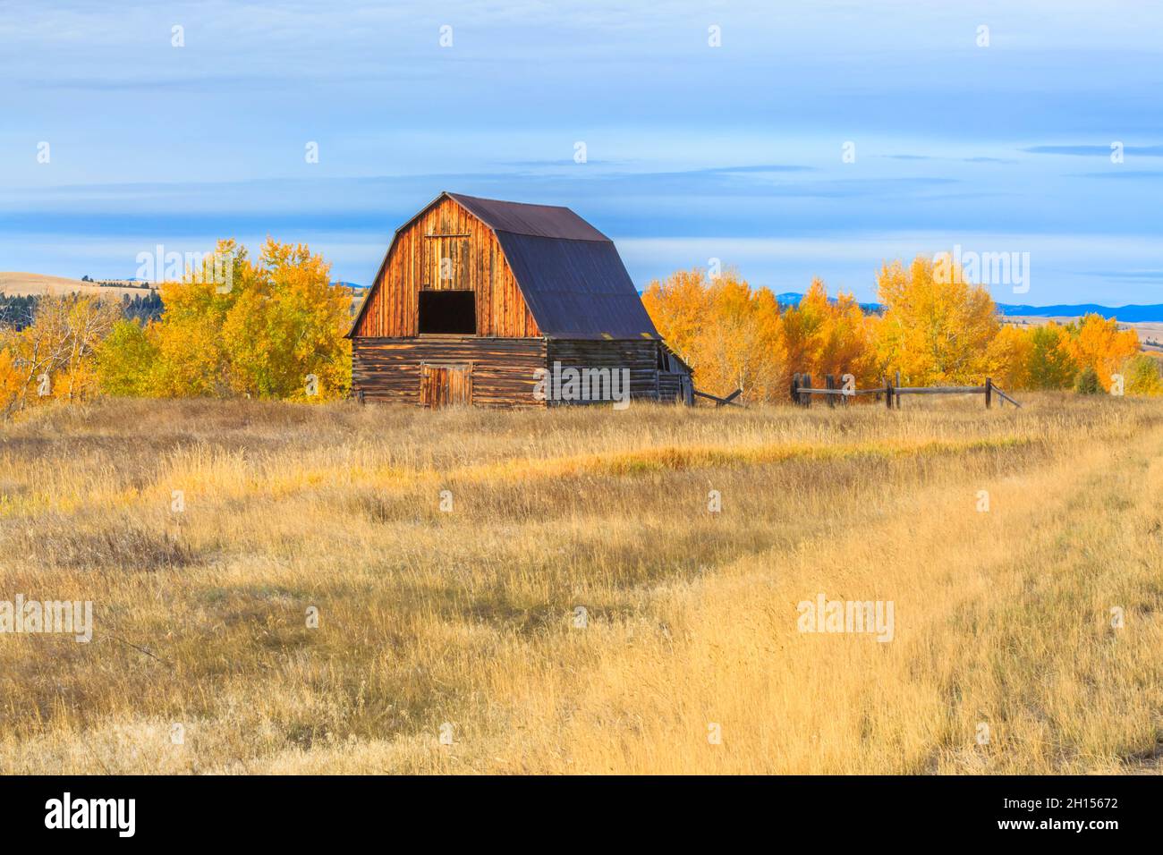 vecchio fienile in autunno a jens, montana Foto Stock