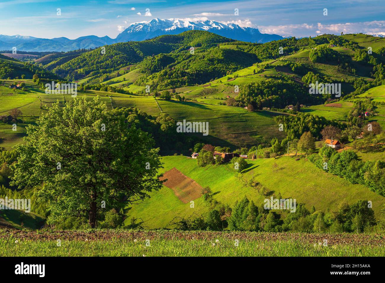 Paesaggio di campagna primaverile, case e terreni agricoli sulle colline. Montagne innevate sullo sfondo, villaggio di Holbav, Transilvania, Romani Foto Stock