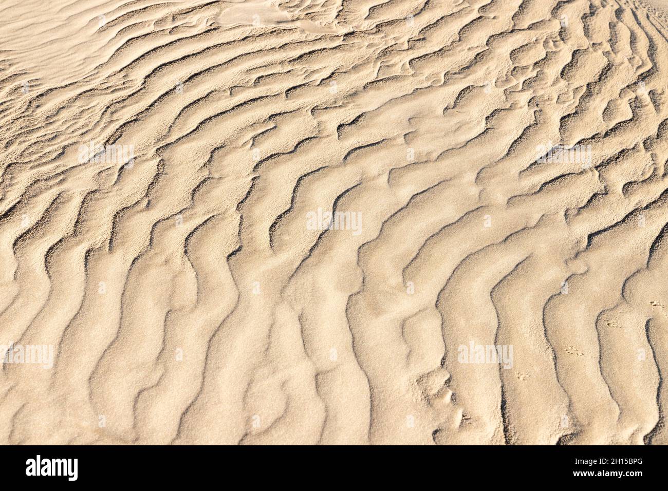 Sabbia con segni di vento, Bacopari, Mostarde, Rio Grande do sul, Brasile Foto Stock