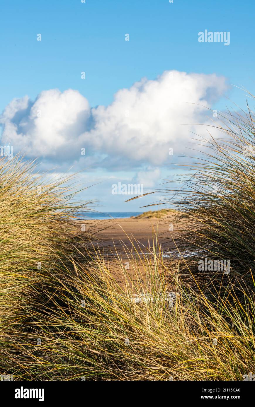 Percorso attraverso le dune di sabbia e l'erba di Marram sulla spiaggia sabbiosa nel nord del norfolk con cielo blu e nuvole bianche. Dune di sabbia percorso, mare. Foto Stock