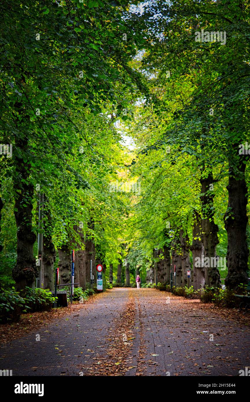 Bruges Belgio Foto Stock