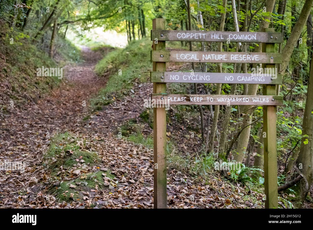 Cartello d'ingresso per Coppett Hill Common vicino a Goodrich nella Foresta di Dean, Inghilterra, Regno Unito. L'autunno parte sul sentiero. 2021 Foto Stock