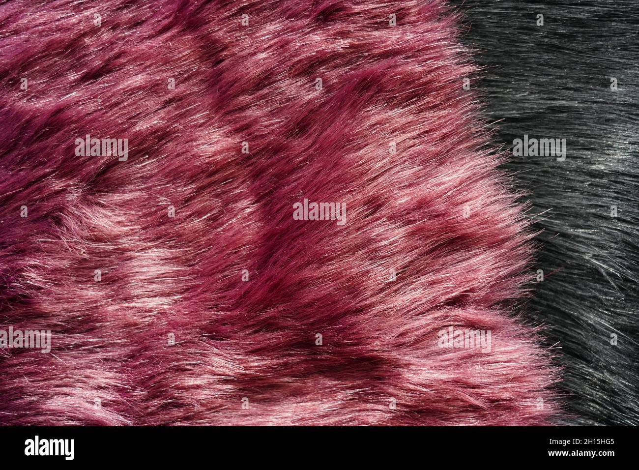 Primo piano di pellicce color bacche e finte nere. Foto Stock