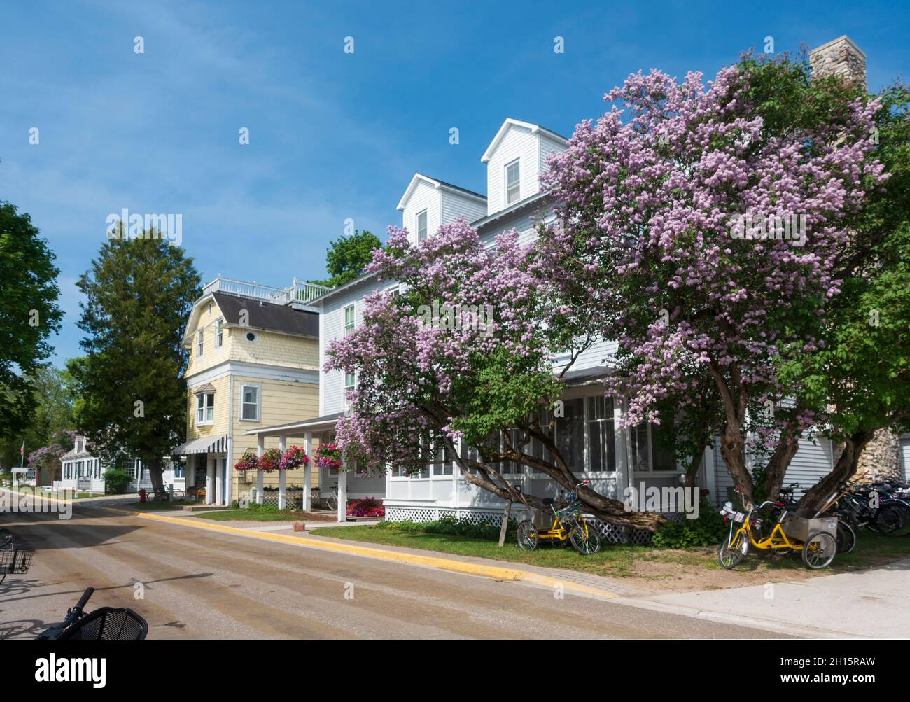 Mackinac Island, Michigan. Alberi di lilla in fiore. Foto Stock