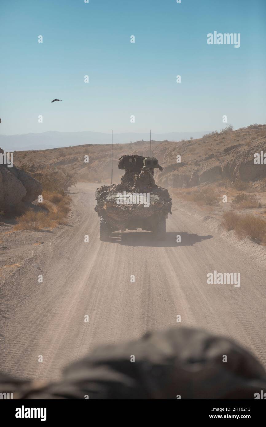 CPL del corpo marino degli Stati Uniti. Esteban Escobar, un missileman anti-cisterna con 2° Battaglione di rinascita con armatura luminosa, attaccato alle unità marines 3d in un convoglio a supporto del corso di operazioni distribuite di battaglione durante l'esercizio di formazione sul livello di servizio 1-22 presso il Marine Corps Air Ground Combat Center Twentynine Palms, California, 13 ottobre 2021. Il BDOC consente al secondo LAR di comandare e controllare più elementi di manovra, integrando al contempo le ordinanze fornite dal suolo e dall'aviazione per garantire con successo un obiettivo. L'Escobar è un nativo del Queens, New York. (STATI UNITI Foto del corpo marino di CPL. Alexis Moradian) Foto Stock