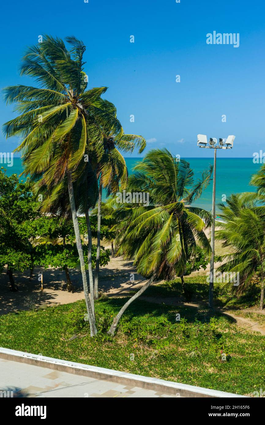 Joao Pessoa, Stato di Paraiba, Brasile il 10 dicembre 2015. Spiaggia di Tambau. Foto Stock