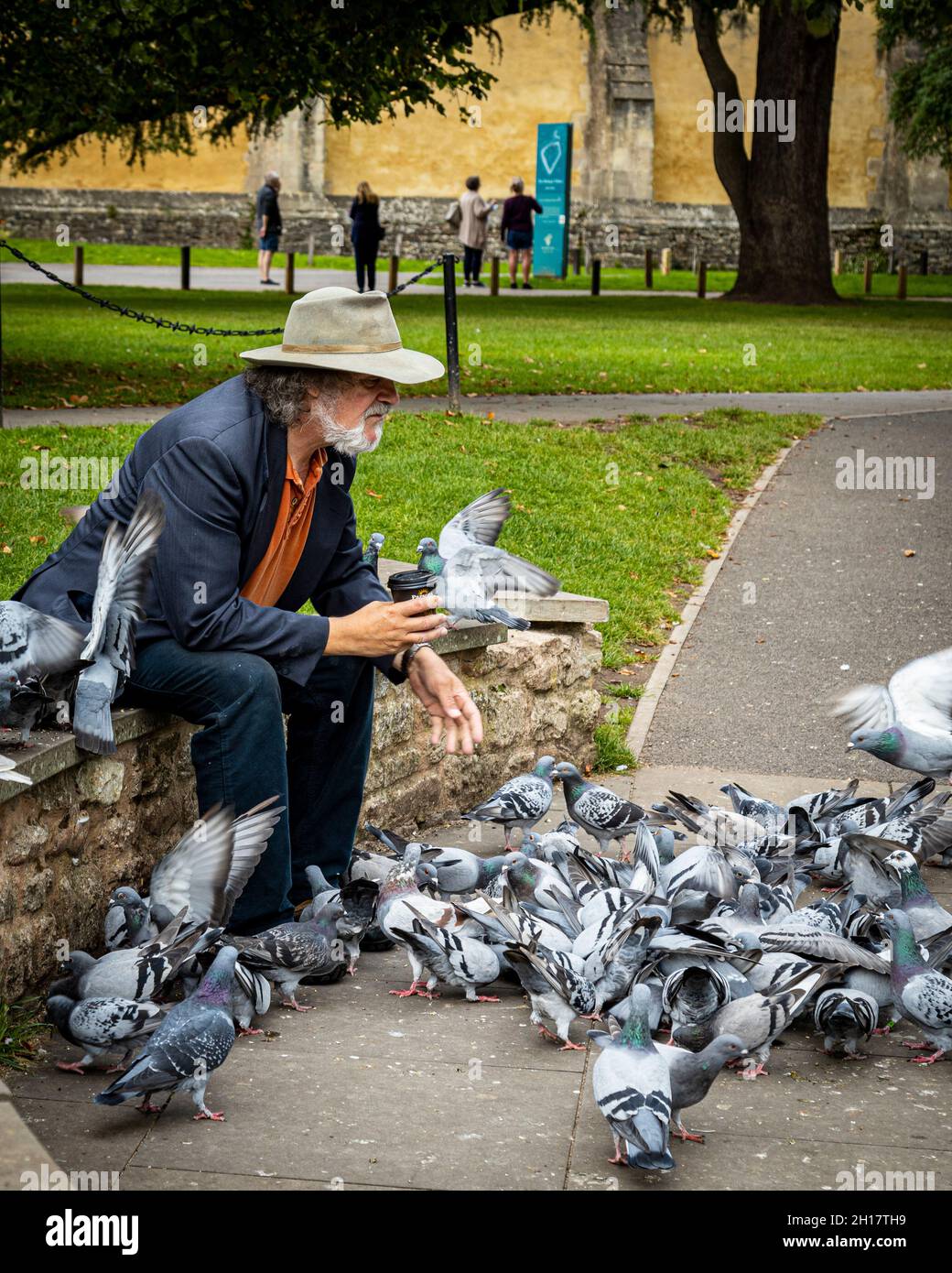Nutrire i piccioni alla Cattedrale di Wells Foto Stock