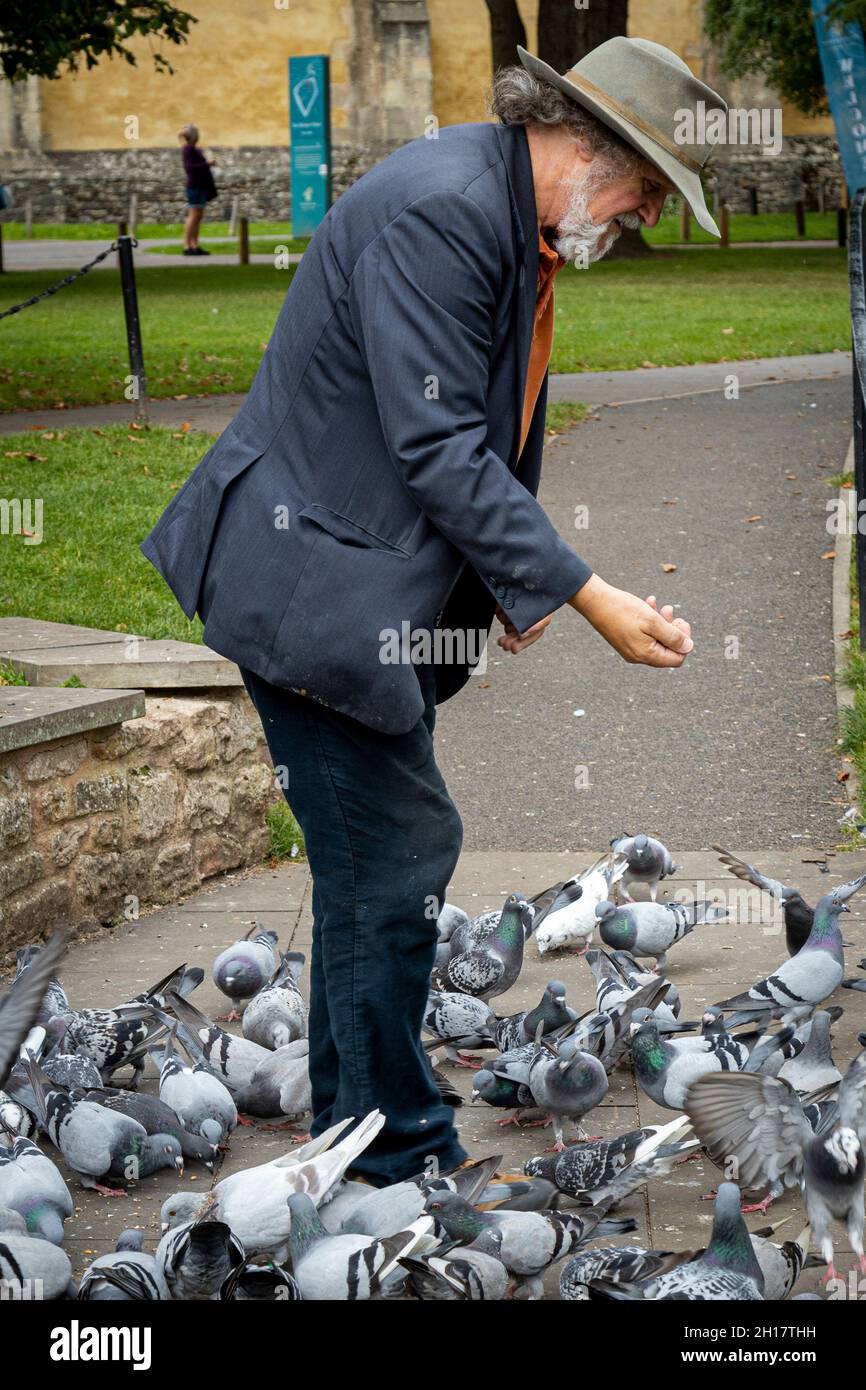 Nutrire i piccioni alla Cattedrale di Wells Foto Stock