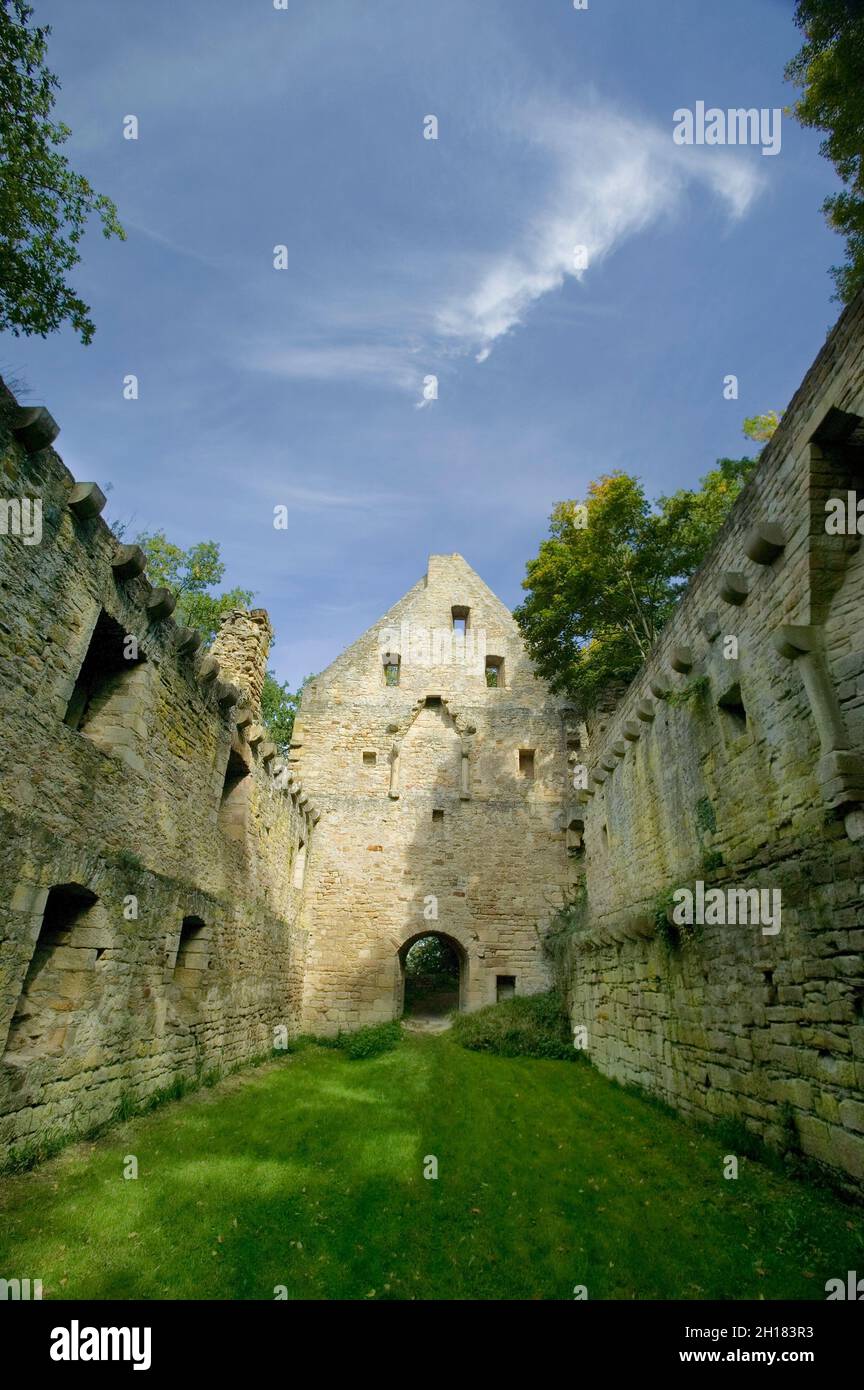 Rovine del monastero di Disibodenberg, nei pressi di Bad Kreuznach, Renania-Palatinato, Germania, Europa, Hildegard von Bingen visse qui dal 1112 al 1147 Foto Stock