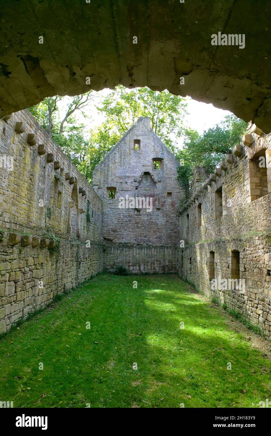 Rovine del monastero di Disibodenberg, nei pressi di Bad Kreuznach, Renania-Palatinato, Germania, Europa, Hildegard von Bingen visse qui dal 1112 al 1147 Foto Stock