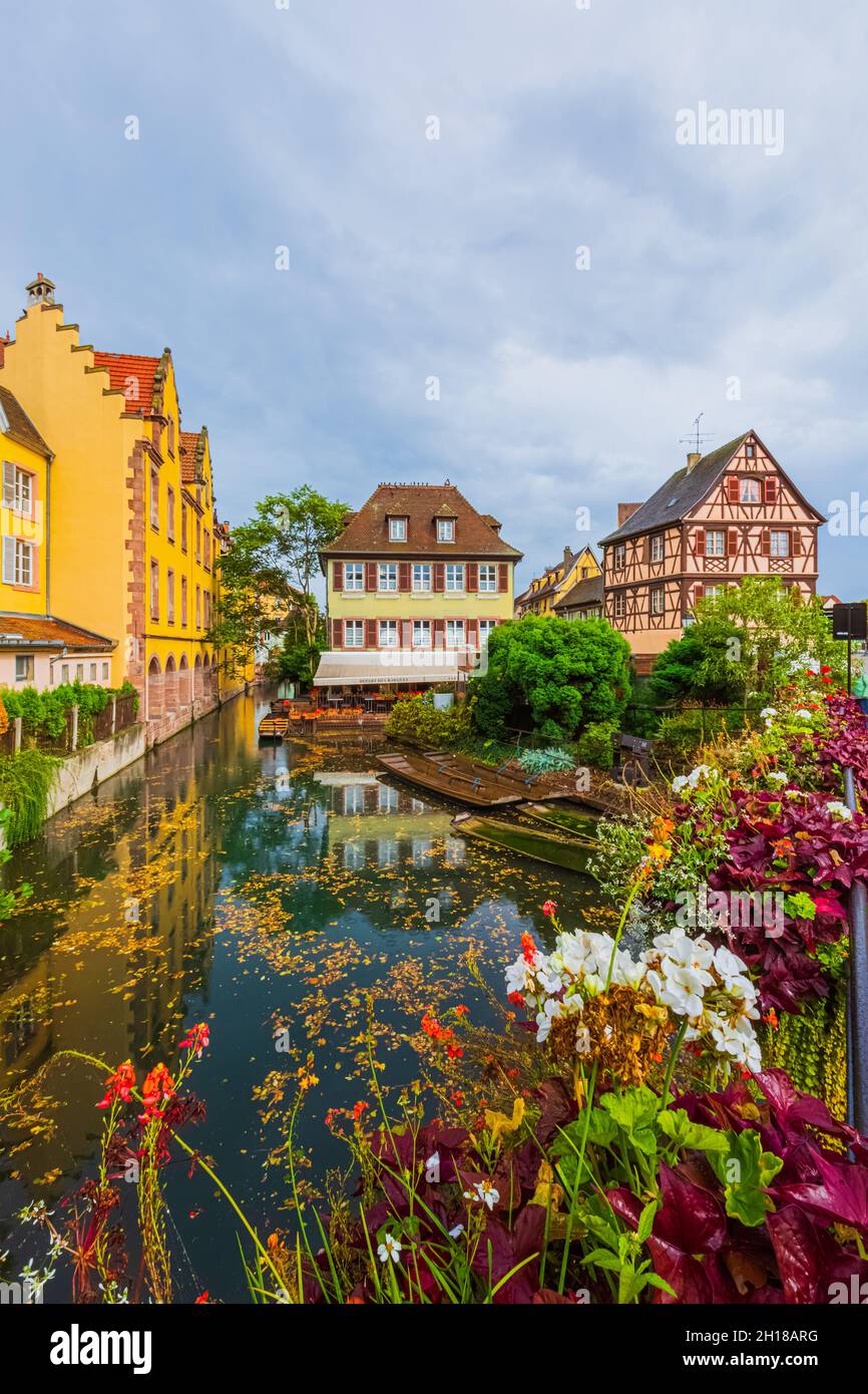 Colmar con le sue tradizionali case a graticcio colorate nella regione dell'Alsazia, in Francia. Colmar è una città e un comune dell'Alto Reno e della G. Foto Stock