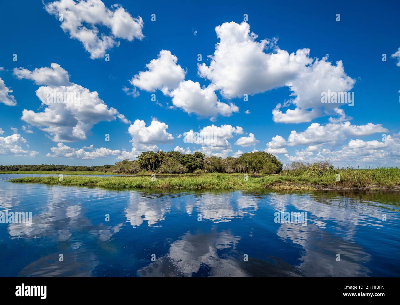 Cielo blu con nuvole bianche sul fiume Myakka nel Myakka River state Park a Sarasota Florida USA Foto Stock