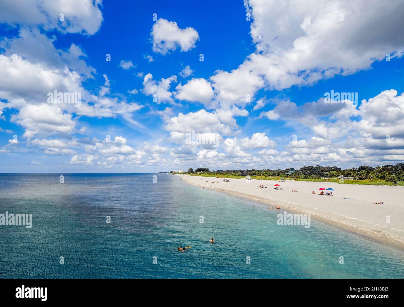 Spiaggia di Venezia sul Golfo del Messico dal molo di Venezia in una giornata estiva con cielo blu e nuvole bianche a Venezia Florida USA Foto Stock