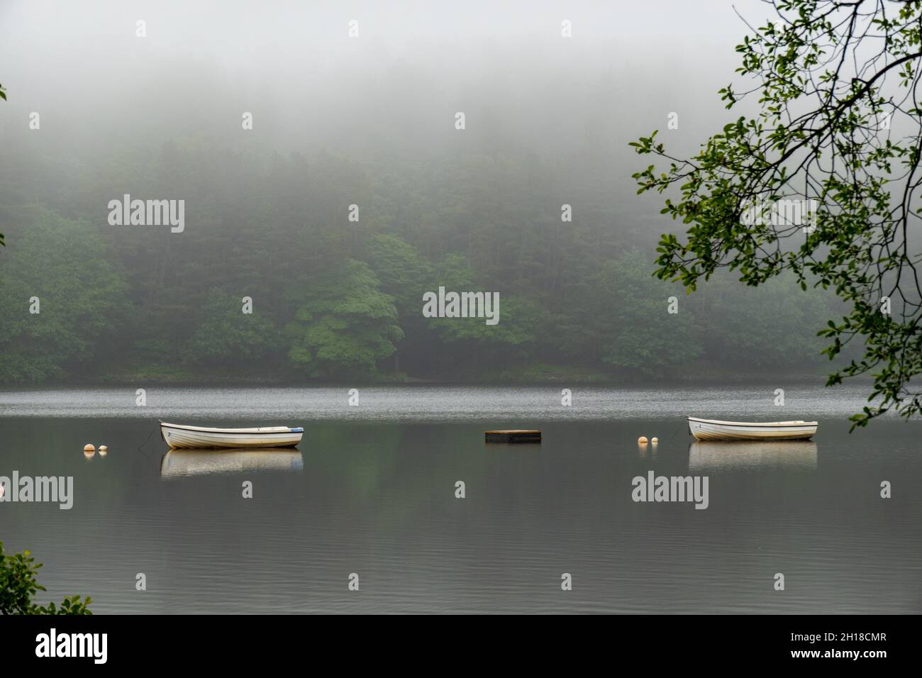 Piccole barche da pesca in acque calme e pianeggianti al lago artificiale di Roddlesworth, Blackburn Lancashire Foto Stock