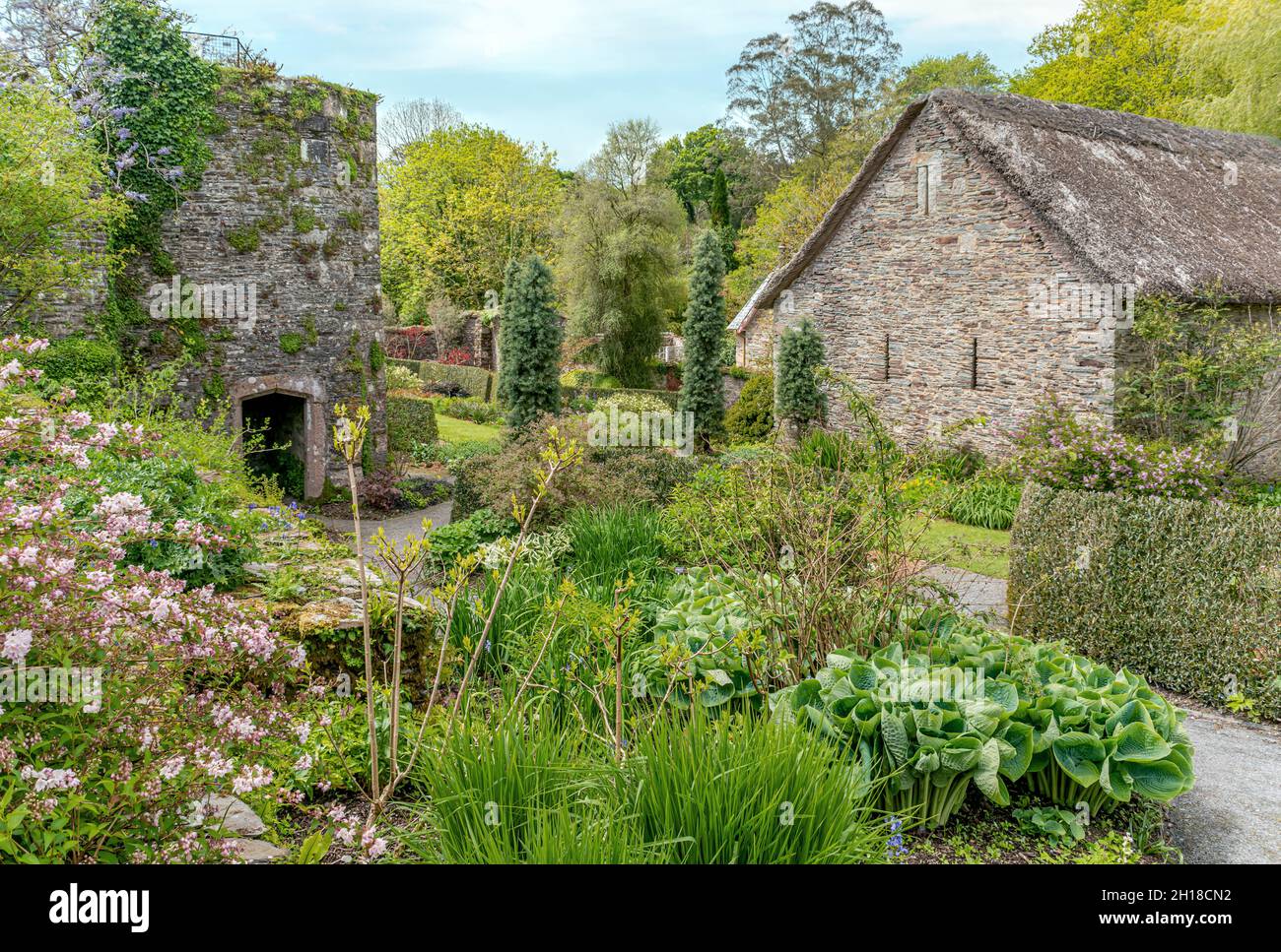 Terrazza inferiore al Fortescue Walled Garden, il Garden House, Yelverton, Devon, Inghilterra Foto Stock