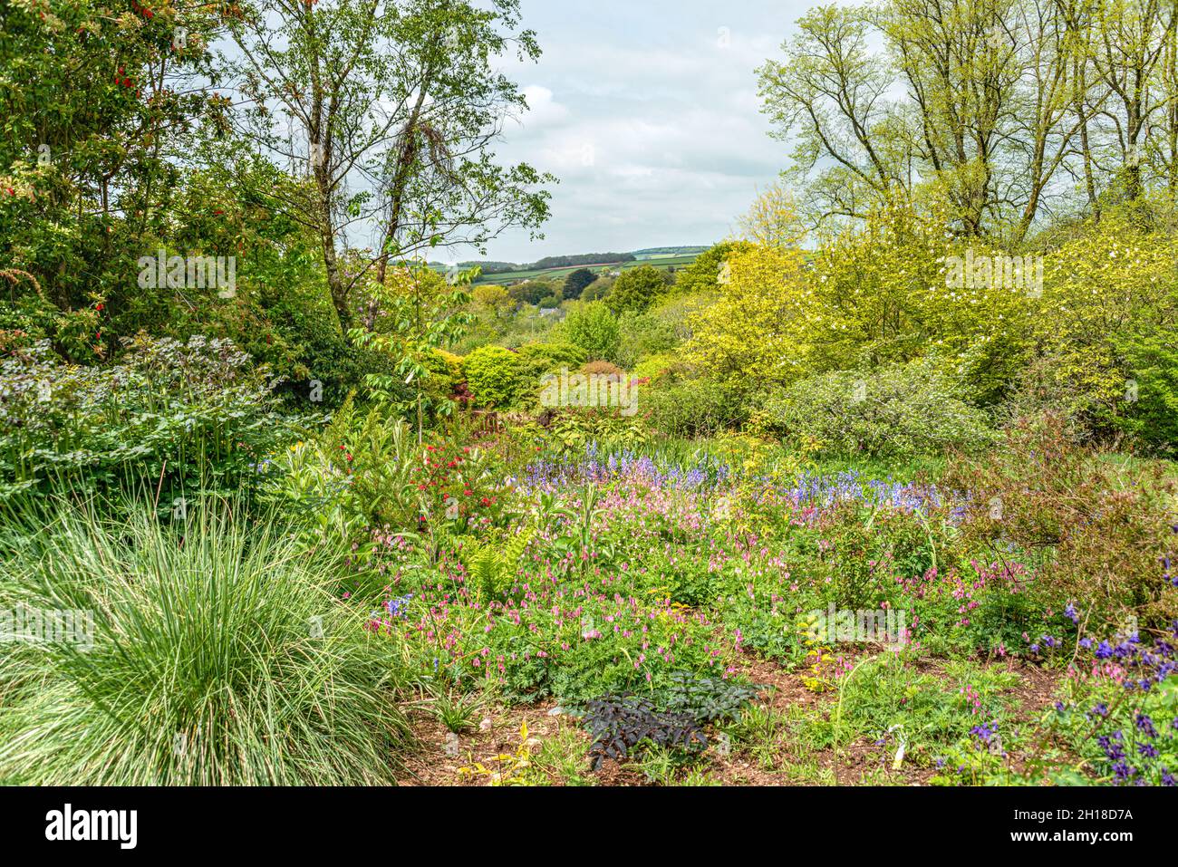 Giardino estivo presso la Casa del giardino, Yelverton, Devon, Inghilterra Foto Stock