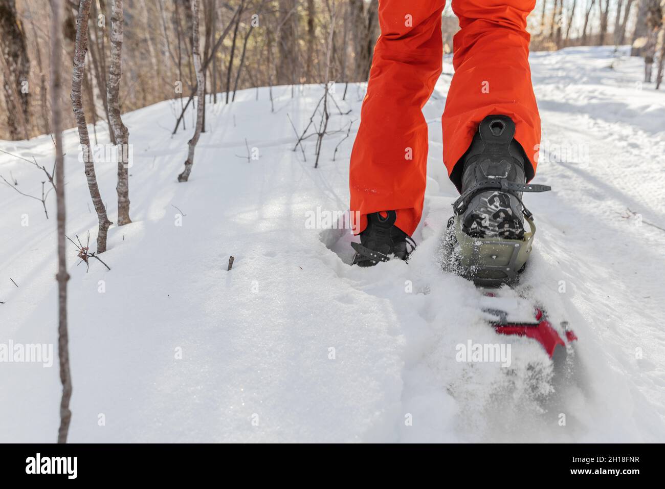Racchette da neve sport invernali escursionista uomo camminare con racchette da neve. Primo piano di gambe che corrono nel parco della foresta di neve bianca con scarponi da trekking con racchette da neve Foto Stock