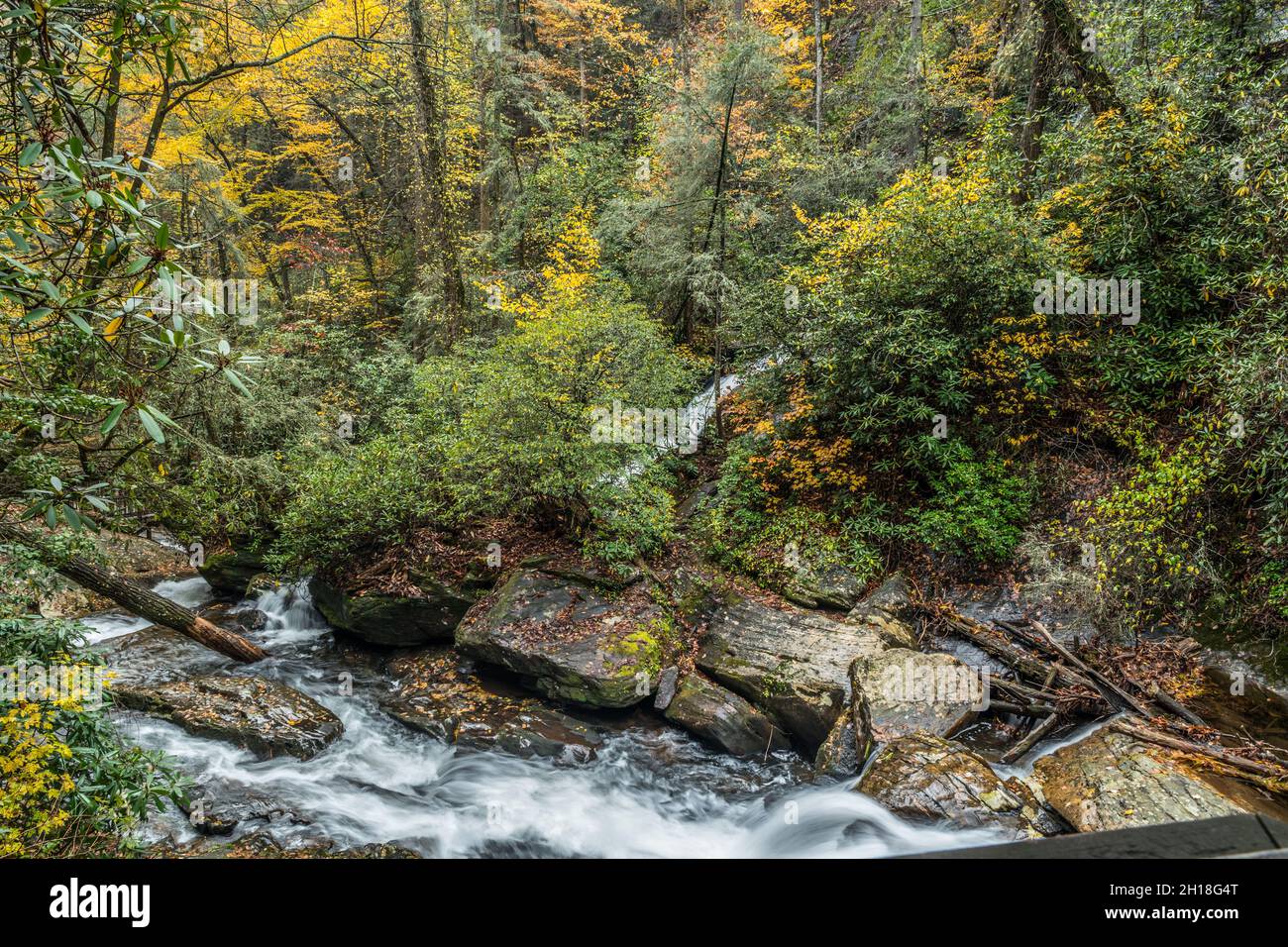Guardando dal bordo del sentiero verso il veloce e commovente acqua bianca del torrente dalla cascata con foglie cadute sui massi e l'autunno co Foto Stock