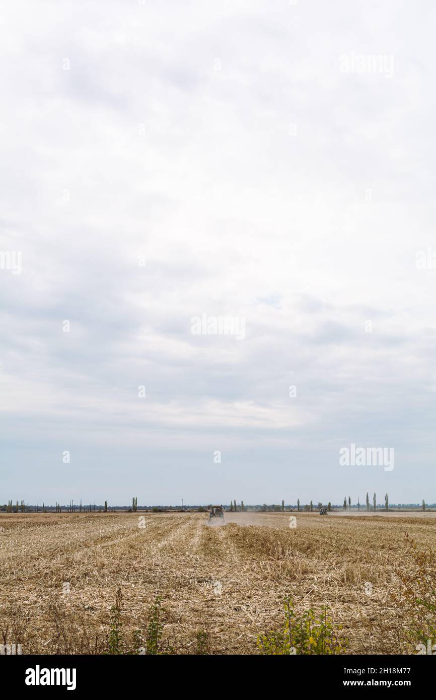 Mietitrebbia per la raccolta di rifiuti di pannocchie, stocchi, stocchi e detriti. Foto Stock