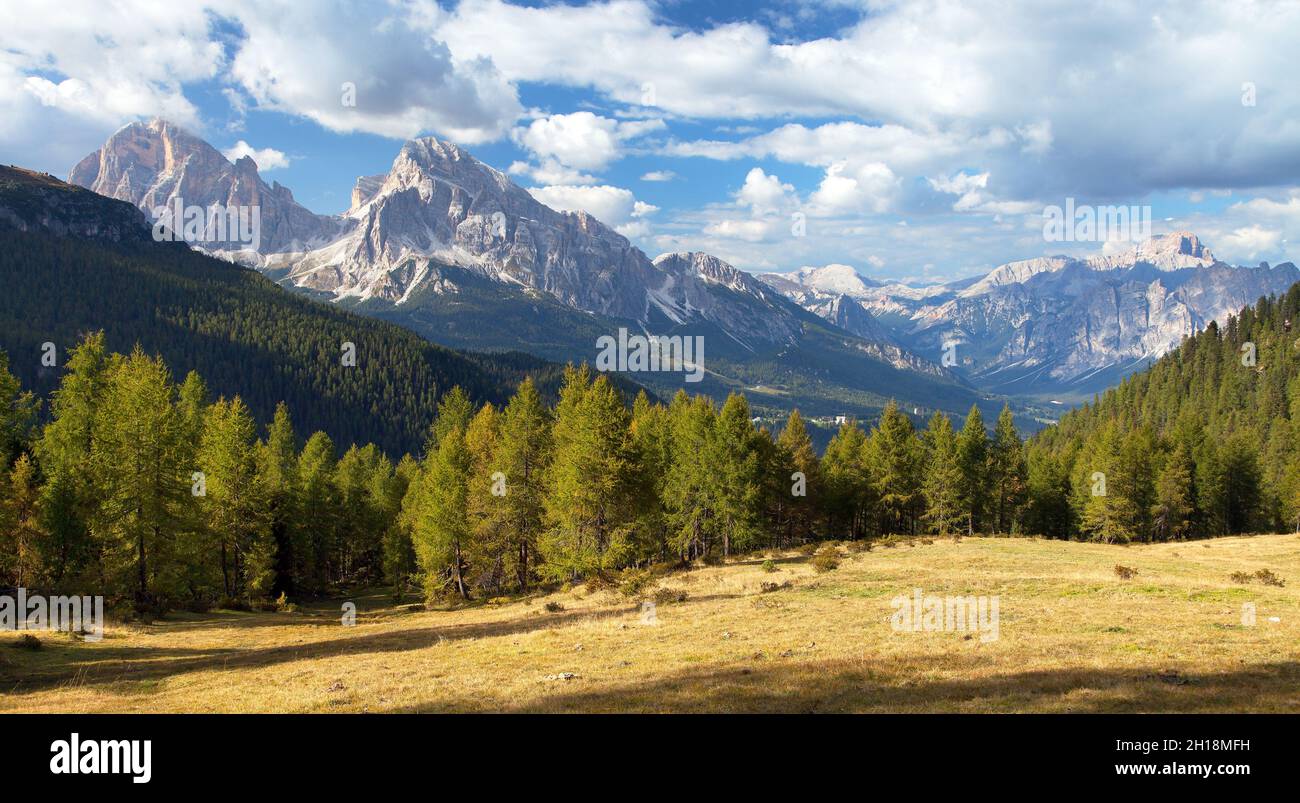 Larice e Tofano, Tofana o le Tofane Gruppe, Alpi Dolomiti montagne, Italia Foto Stock