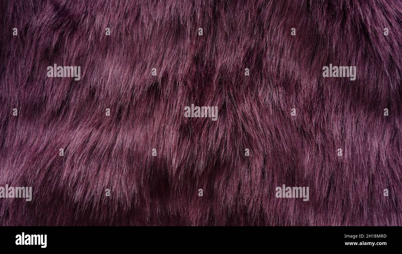 Dettaglio di un materiale sintetico in pelliccia viola scuro. Foto Stock