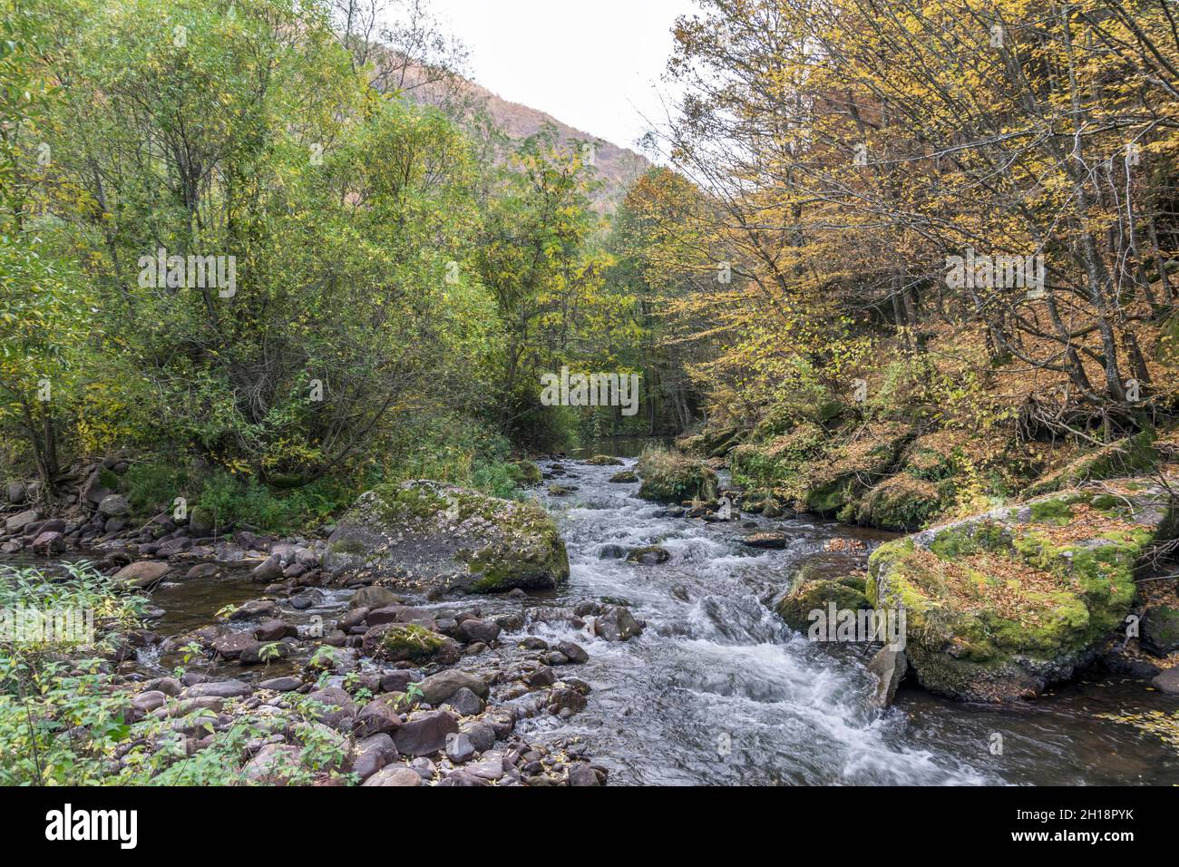 Fiume di montagna paesaggio Foto Stock