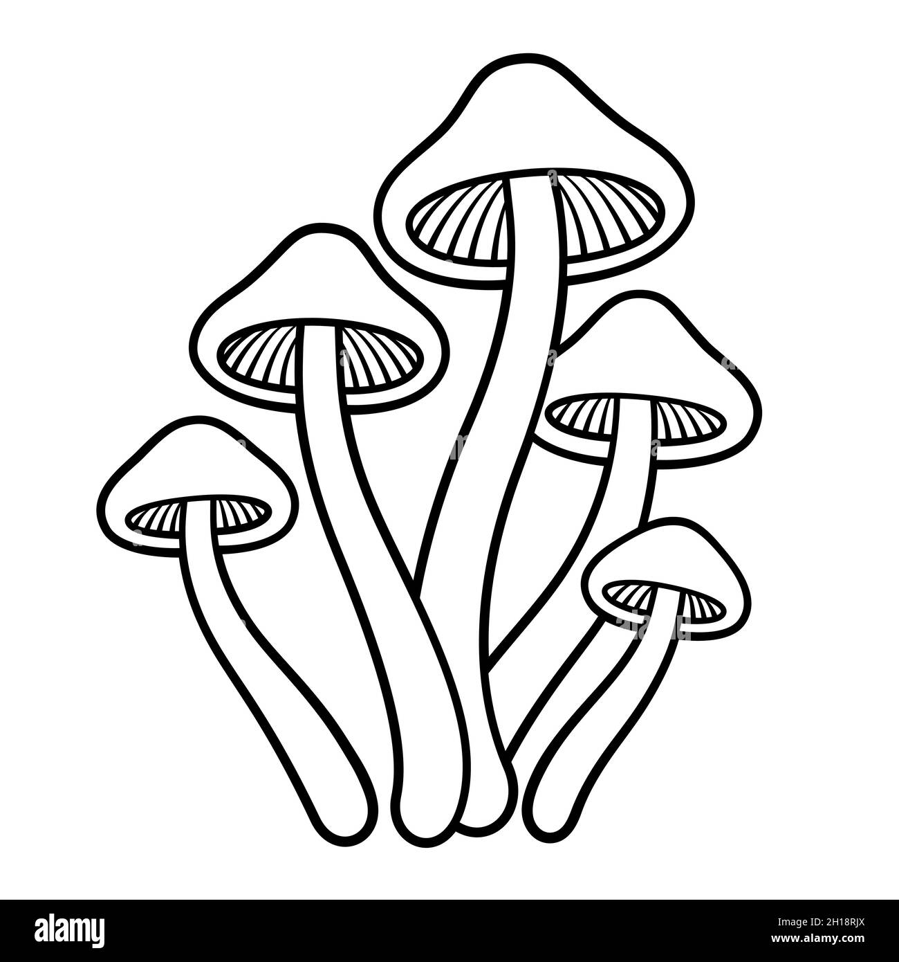 Funghi magici Psilocybe cubensis. Disegno con linee in bianco e nero. Illustrazione grafica della clip vettoriale. Illustrazione Vettoriale