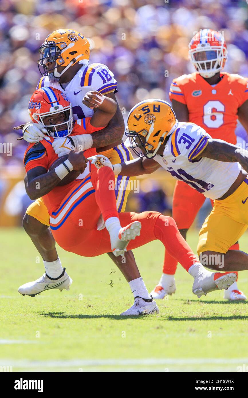 LSU Tigers linebacker Damone Clark (18) Sacks Florida Gators quarterback Emory Jones (5) con l'assistenza di sicurezza Cameron Lewis (31), sabato, ottobre Foto Stock