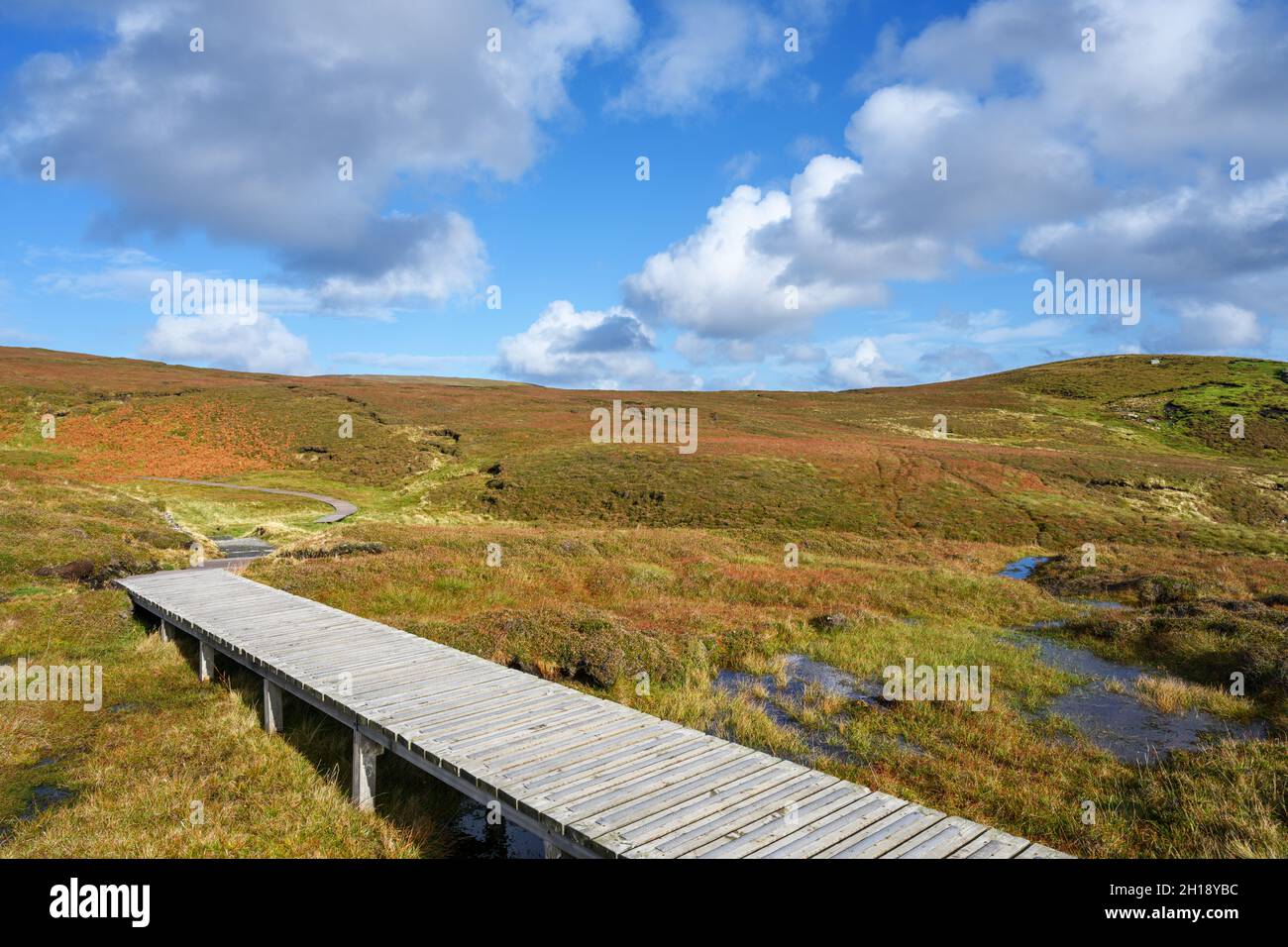 Sentiero nella Riserva Naturale Nazionale di Hermaness, Unst, Shetland, Scozia, Regno Unito Foto Stock