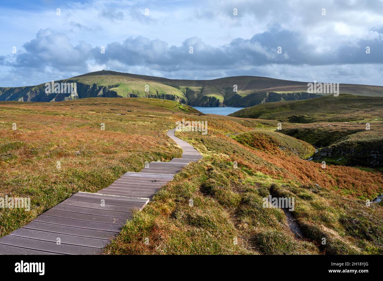 Sentiero nella Riserva Naturale Nazionale di Hermaness, Unst, Shetland, Scozia, Regno Unito Foto Stock