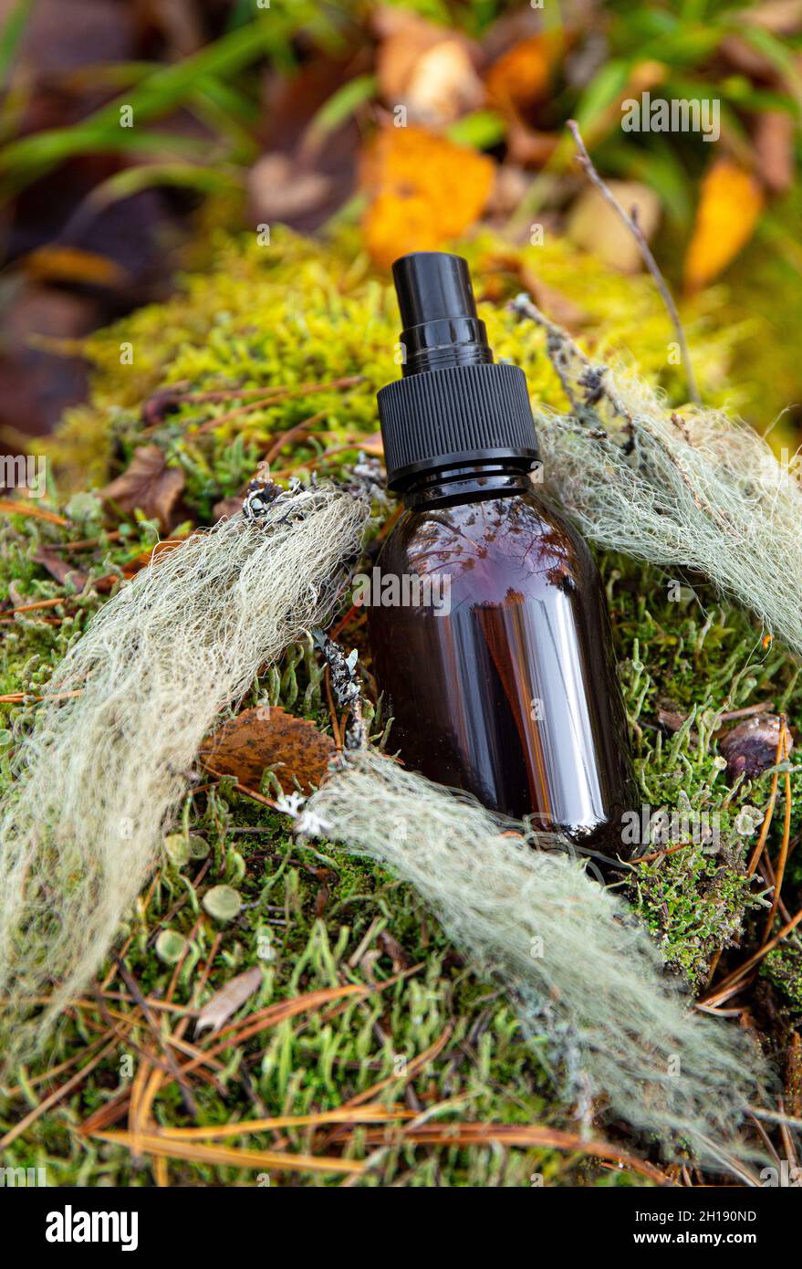 Usnea barbata o la barba di vecchio o la barba lichen concetto tintura. Bottiglia marrone con miscela di erbe medicinali su muschio verde, decorata. Foto Stock