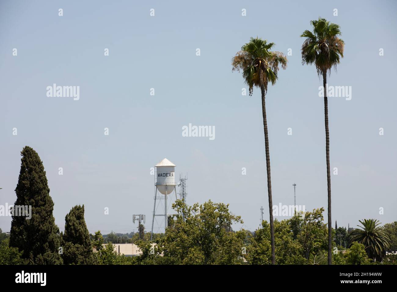 Madera, California, Stati Uniti d'America - 15 luglio 2021: Gli alberi incorniciano il punto di riferimento Madera Water Tower. Foto Stock