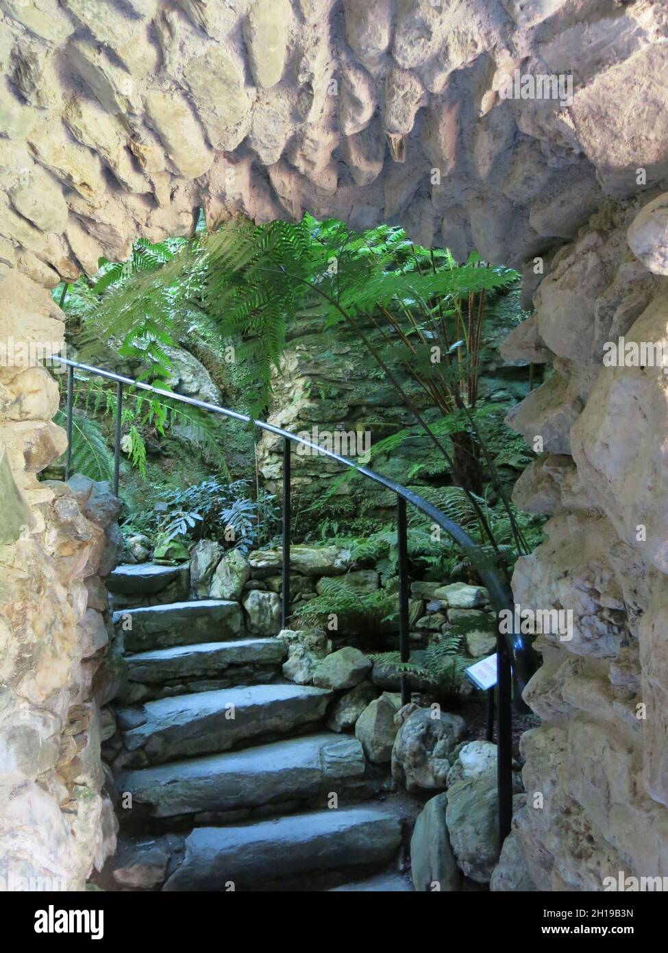 Gradini di pietra sotto un arco sulla scala tortuosa che conduce all'entrata del Fernery vittoriano con la collezione esotica di felci di Benmore. Foto Stock